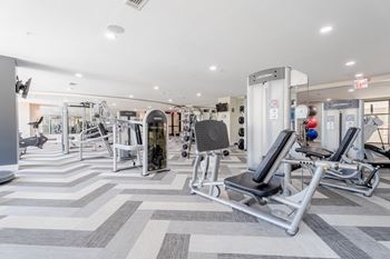 Bright gym